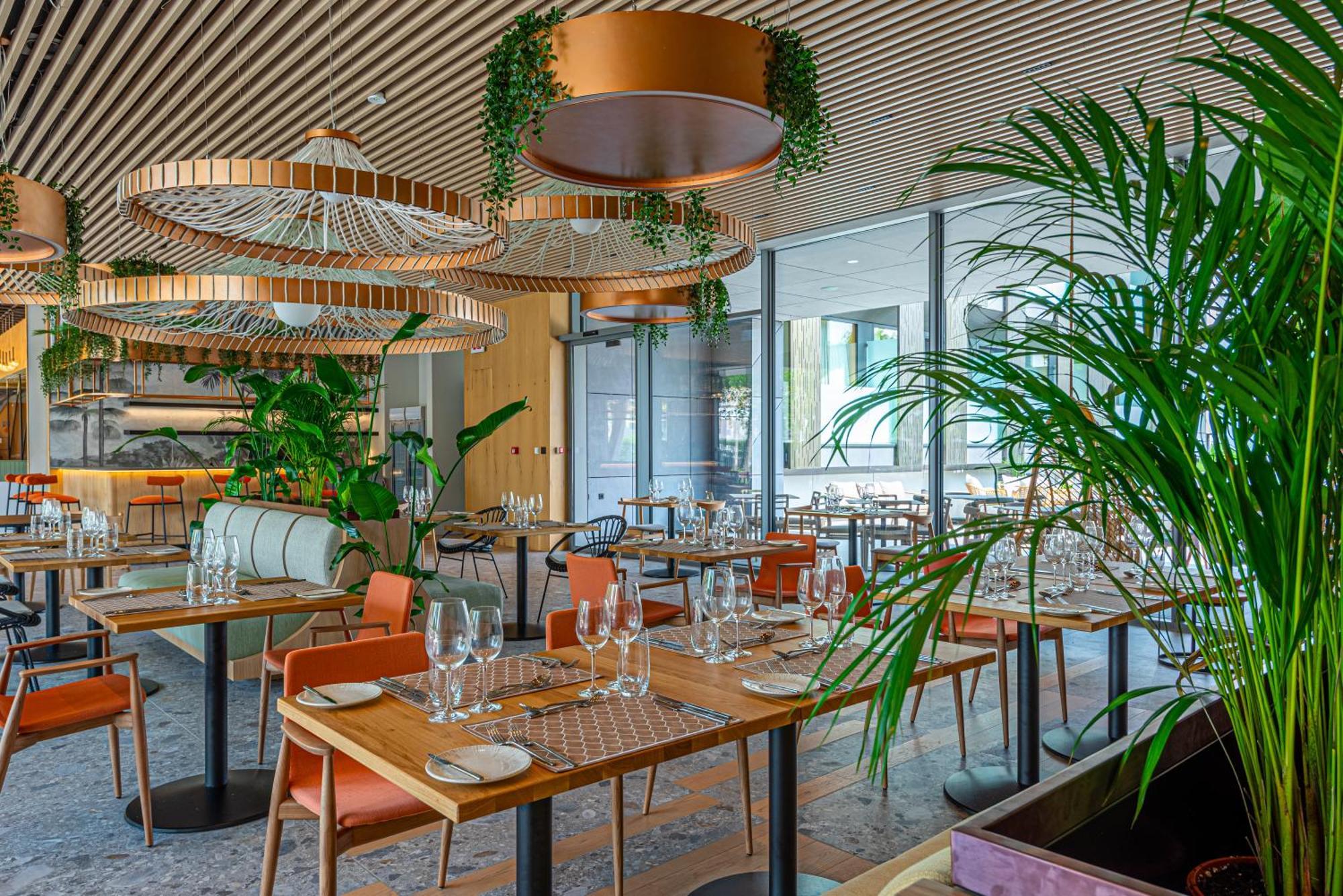 Reed Luxury By Balaton